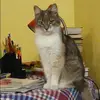 Отзыв от Дина Рябинина